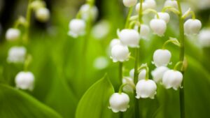 Leicht und beschwingt in den Frühling